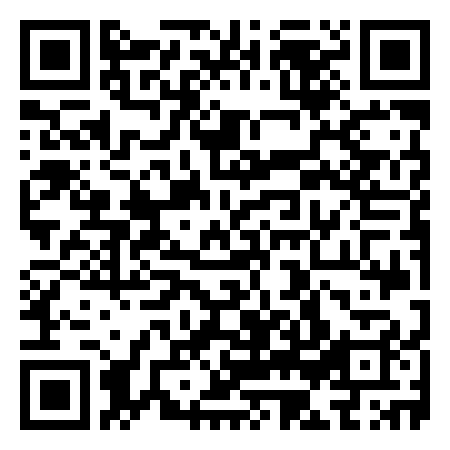 QR Code de Magic Fly