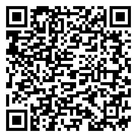 QR Code de Blindspot