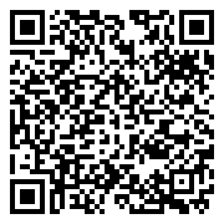 QR Code de The Dip