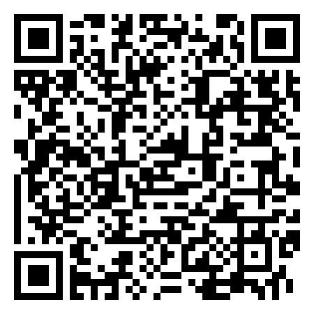 QR Code de Bingo Loco