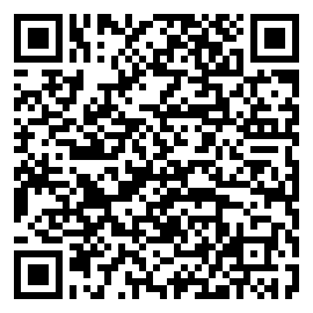 QR Code de The Needle