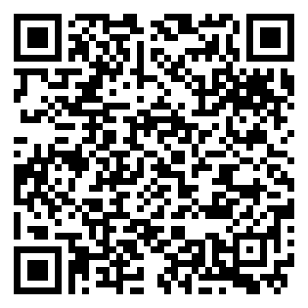 QR Code de Pinocchio Tours - Rome and Vatican Tours for kids and families