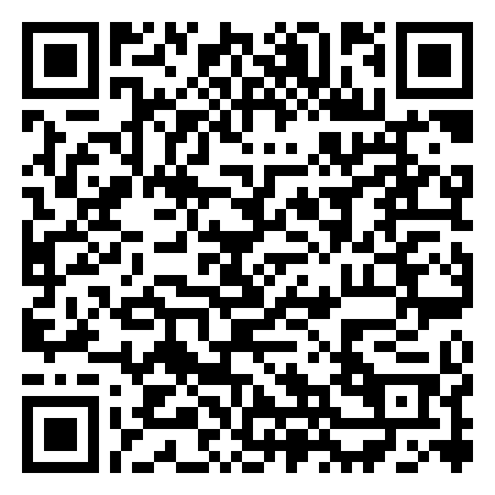 QR Code de the fry gallery