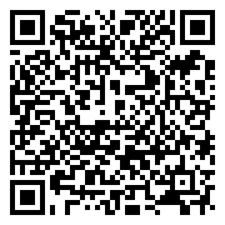 QR Code de Bugs