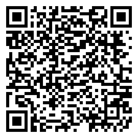 QR Code de Minibowl Remo.