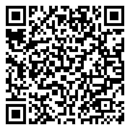 QR Code de Disco Palma