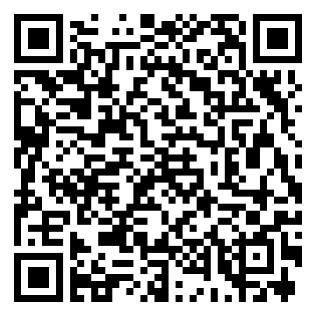 QR Code de Flying Fish