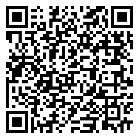 QR Code de Palace Amusements