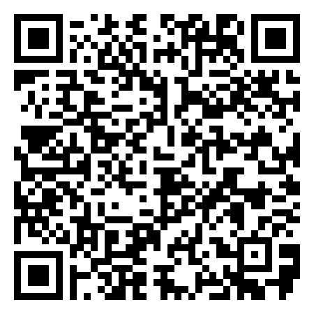 QR Code de The Little Crazy