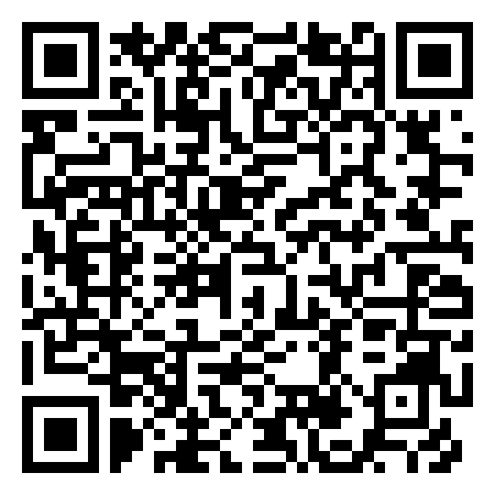 QR Code de the little pellegrin