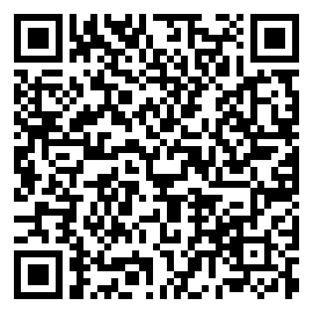 QR Code de Mini Mees