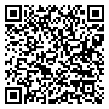 QR Code de The Court Street Gallery